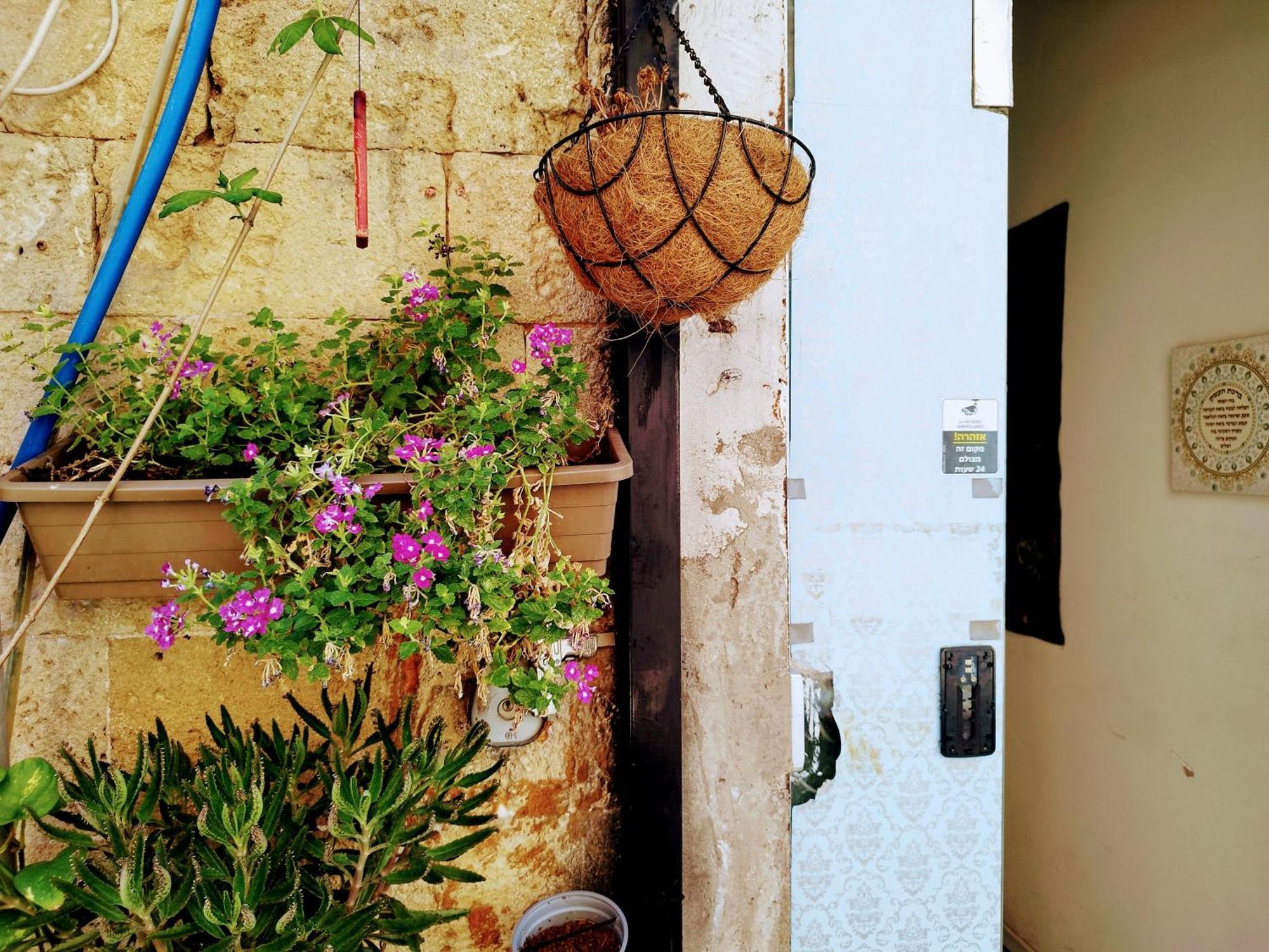 Polihosts Old Jaffa Hostel Tel Aviv Ngoại thất bức ảnh